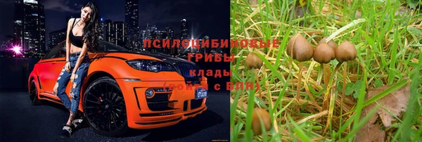 марки nbome Белокуриха