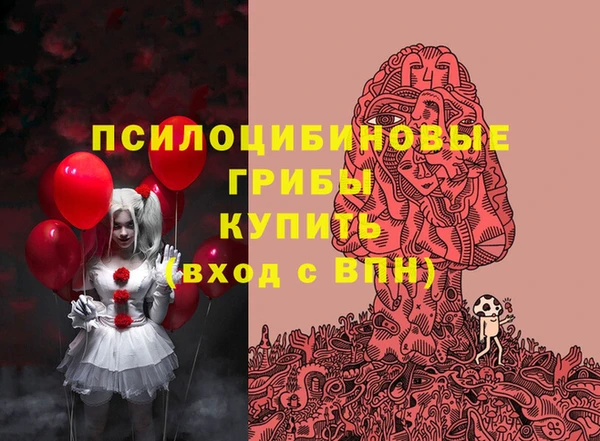 стафф Балахна