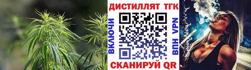 ТГК концентрат  Купить где  Менделеевск 
