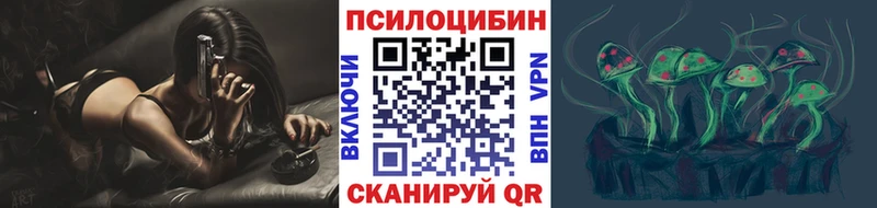 Купить закладки  Менделеевск  Галлюциногенные грибы мухоморы 